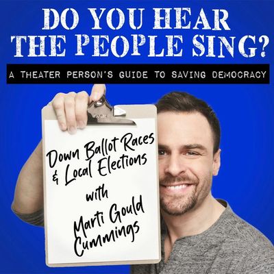 Episode 8: Down Ballot Races & Local Elections 