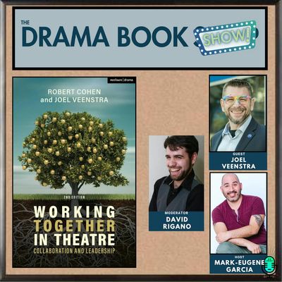 Working Together in Theatre- With Joel Veenstra