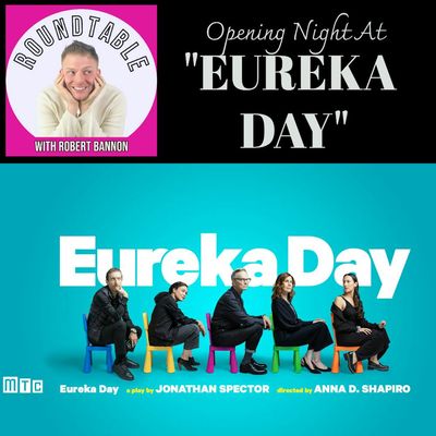 Ep 371- Opening Night of "Eureka Day" With Bll Irwin, Jessica Hecht, Amber Grey, & More!