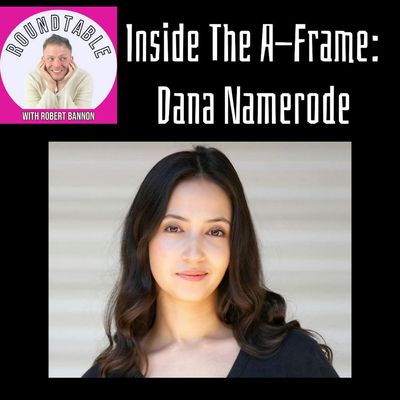 Ep 603- Inside The A-Frame: Dana Namerode Joins The Roundtable!