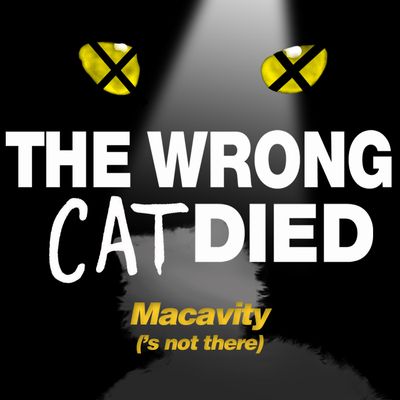 Ep9 - Macavity ('s not there)