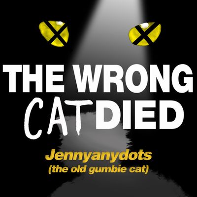 Ep2 - Jennyanydots, the old gumbie cat