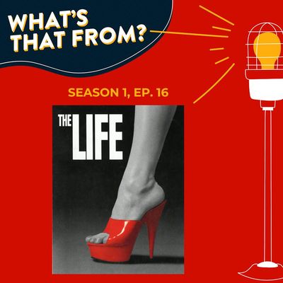 Ep. 16 - The Life